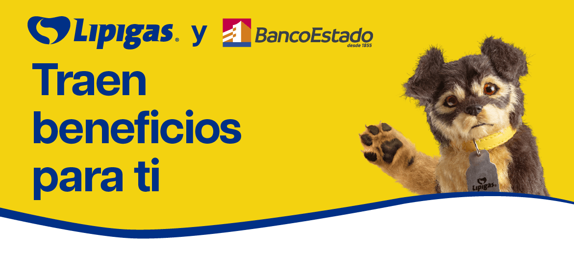 Volvieron los descuentos con Lipigas y BancoEstado