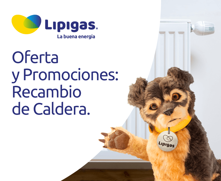 Oferta y Promociones Recambio de Caldera.