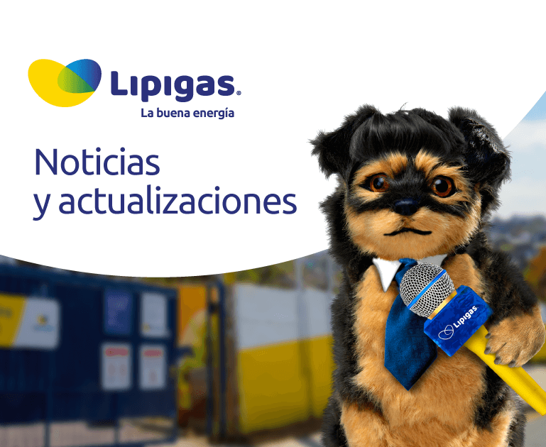 Campaña actualización datos