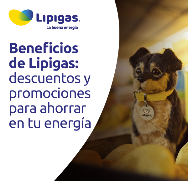 Beneficios de Lipigas: descuentos y promociones para ahorrar