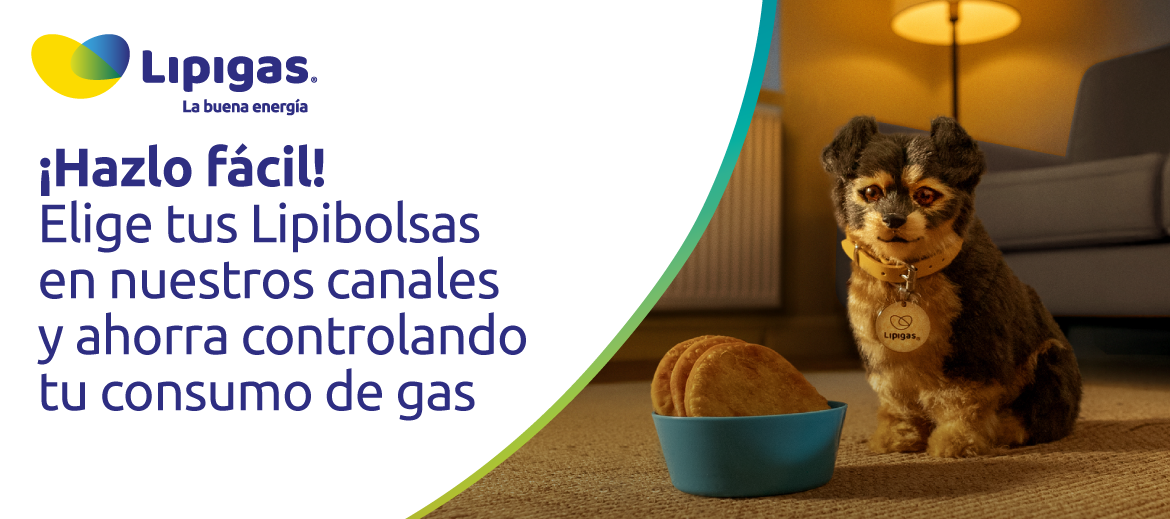 ¡Hazlo fácil! Elige tus Lipibolsas en nuestros canales y ahorra controlando tu consumo de gas