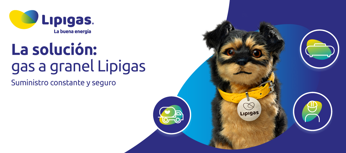 ¿Qué es el gas a granel de Lipigas?