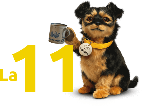 Perrito Lipigas con una taza de té