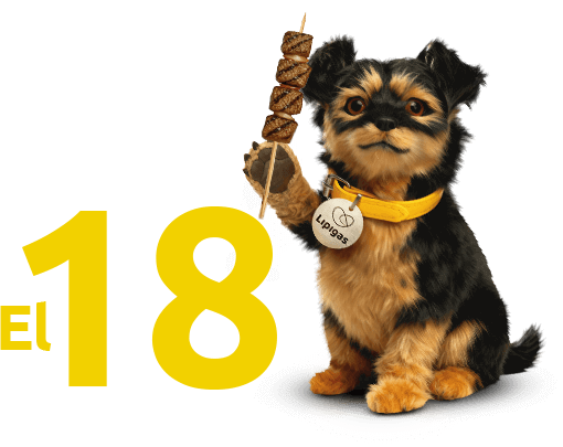 Perrito Lipigas con anticucho en el 18 de septiembre