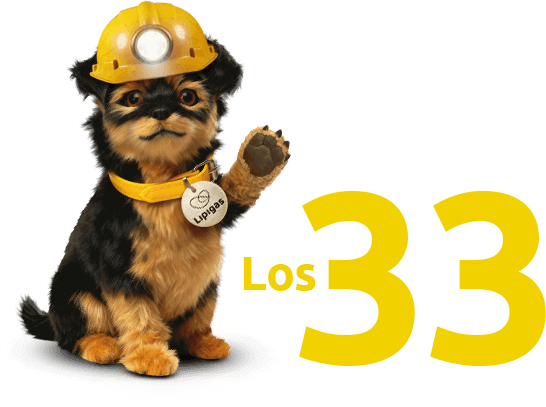 Perrito Lipigas con casco de minero
