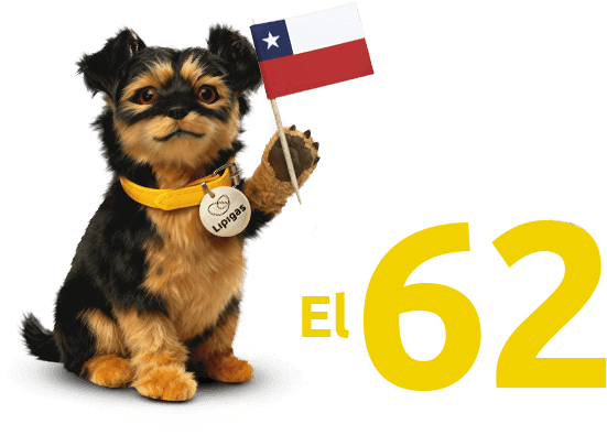 Perrito Lipigas con pelota de fútbol