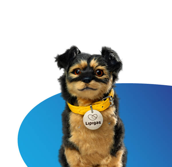 💛 Cómo obtener $3.000 de descuento pagando tu cuenta Lipigas con Mercado Pago