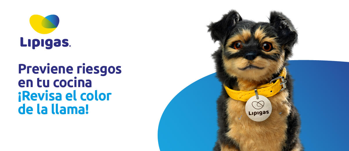 Perro de lipigas con el mensaje: Previene riesgos en tu cocina. Revisa el color de la llama.