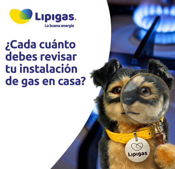 ¿Cada cuánto debes revisar tu instalación de gas en casa?