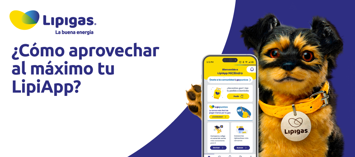 Cómo aprovechar al máximo tu LipiApp