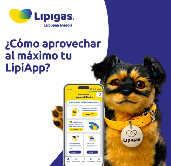 ¿Cómo aprovechar al máximo tu LipiApp? Funciones que pocos conocen