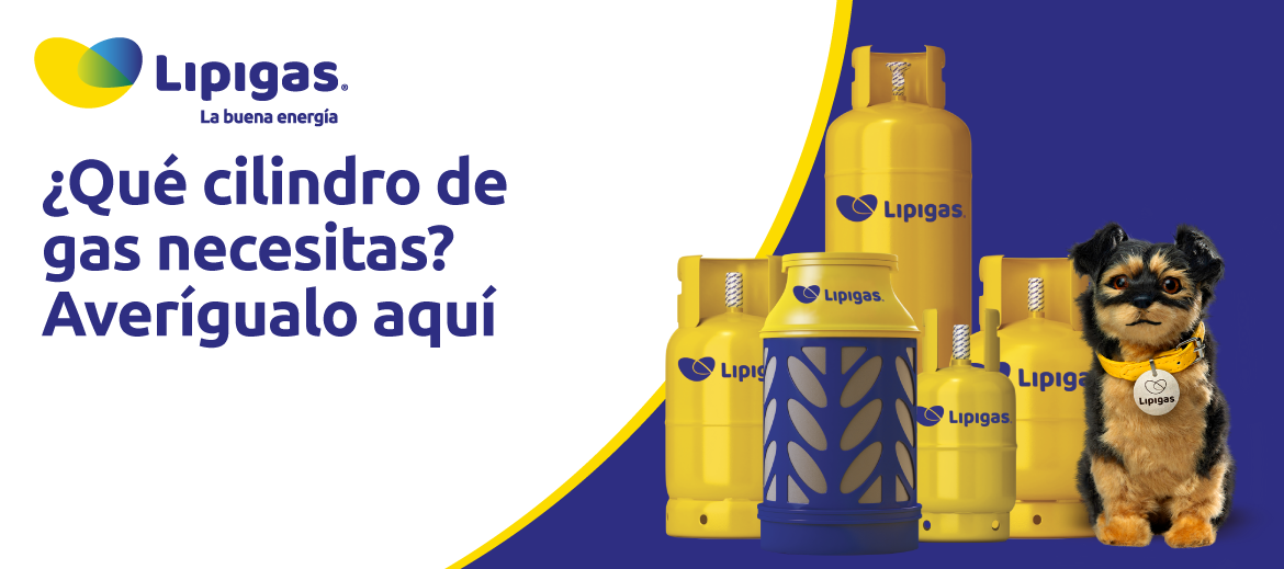 ¿Qué cilindro de gas necesitas? Averígualo aquí