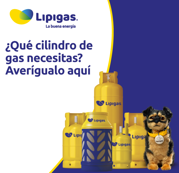 ¿Qué cilindro de gas necesitas? Averígualo aquí