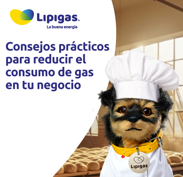 Consejos prácticos para reducir el consumo de gas en tu negocio