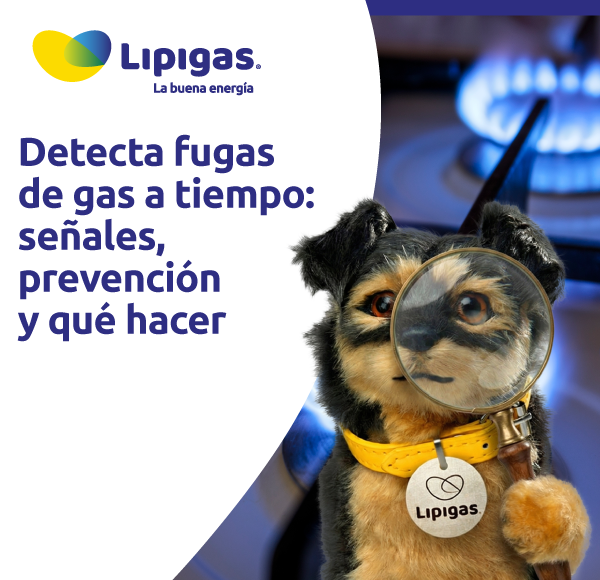 Detecta fugas de gas a tiempo: señales, prevención y qué hacer