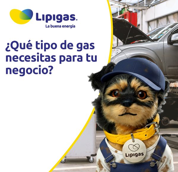 ¿Qué tipo de gas necesitas para tu negocio? Guía para emprendedores