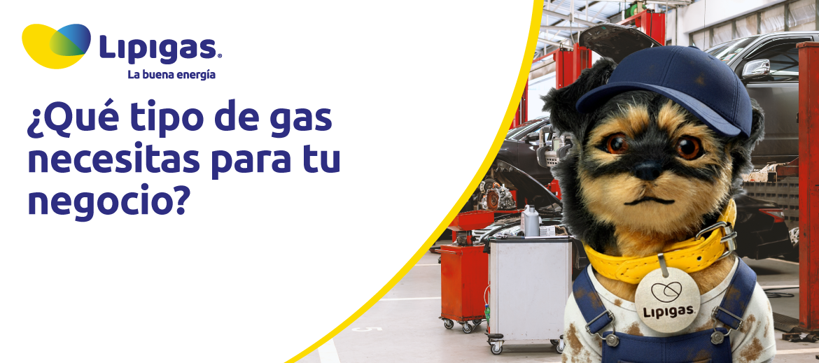 Que tipo de gas necesitas para tu negocio