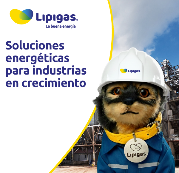 Soluciones energéticas para industrias en crecimiento