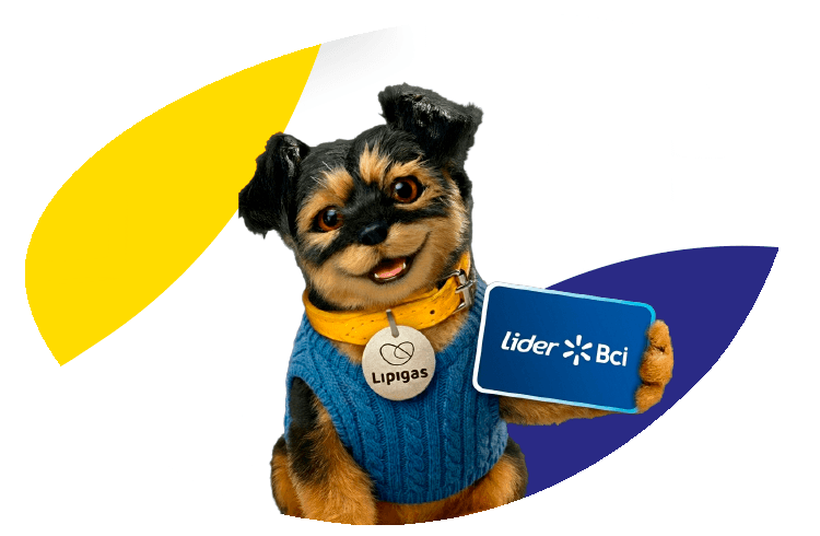 Disfruta los increíbles beneficios de Lipigas y Lider Bci