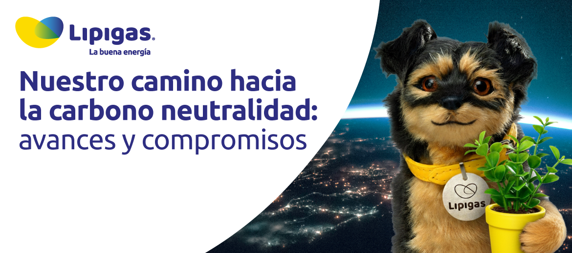 Nuestro camino hacia la carbono neutralidad: avances y compromisos