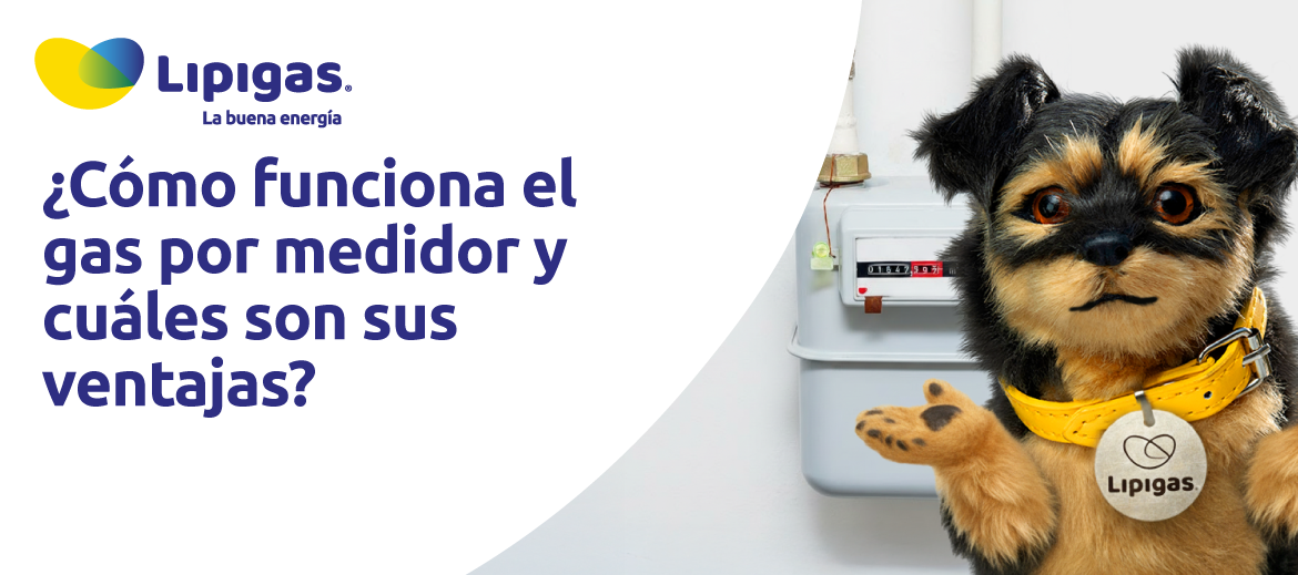 ¿Cómo funciona el gas por medidor y cuáles son sus ventajas?