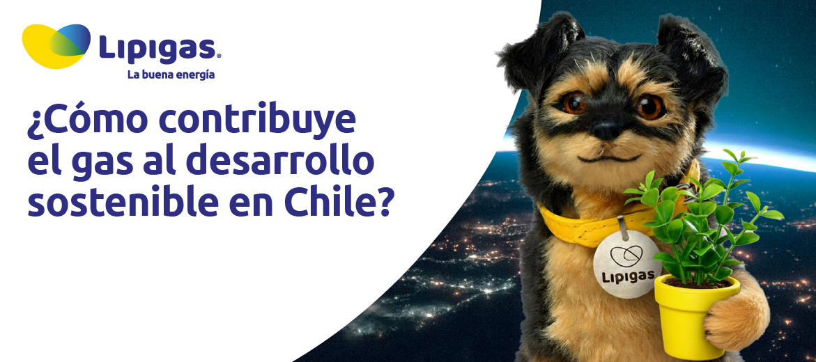Cómo contribuye el gas al desarrollo sostenible en Chile