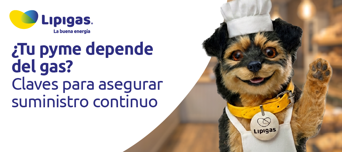 suministro continuo