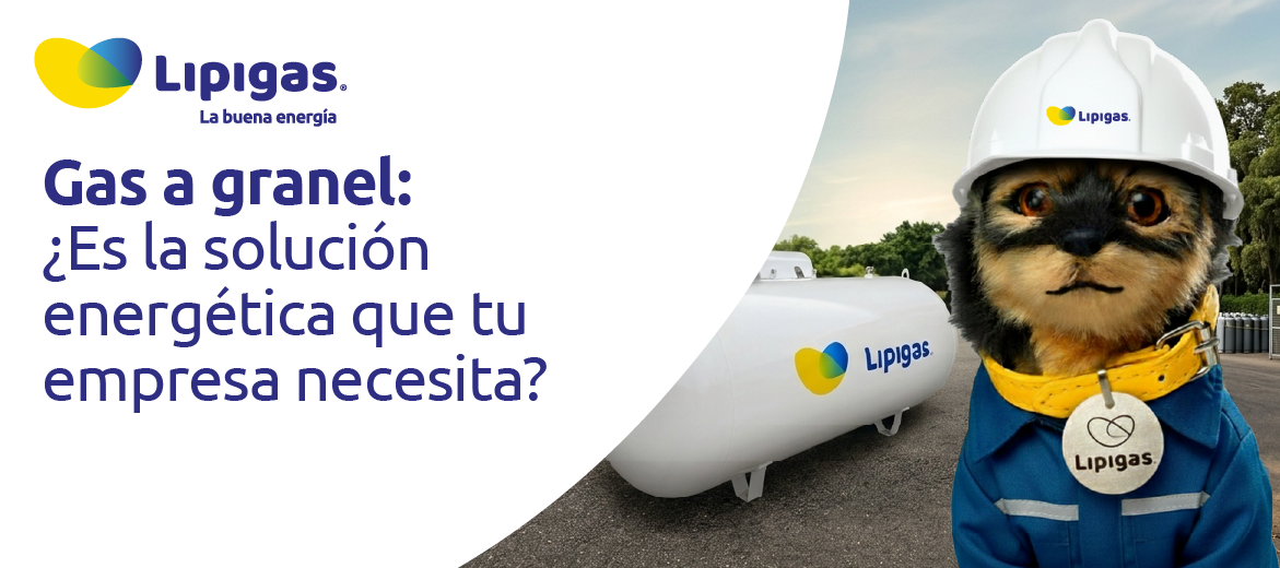 Gas a granel