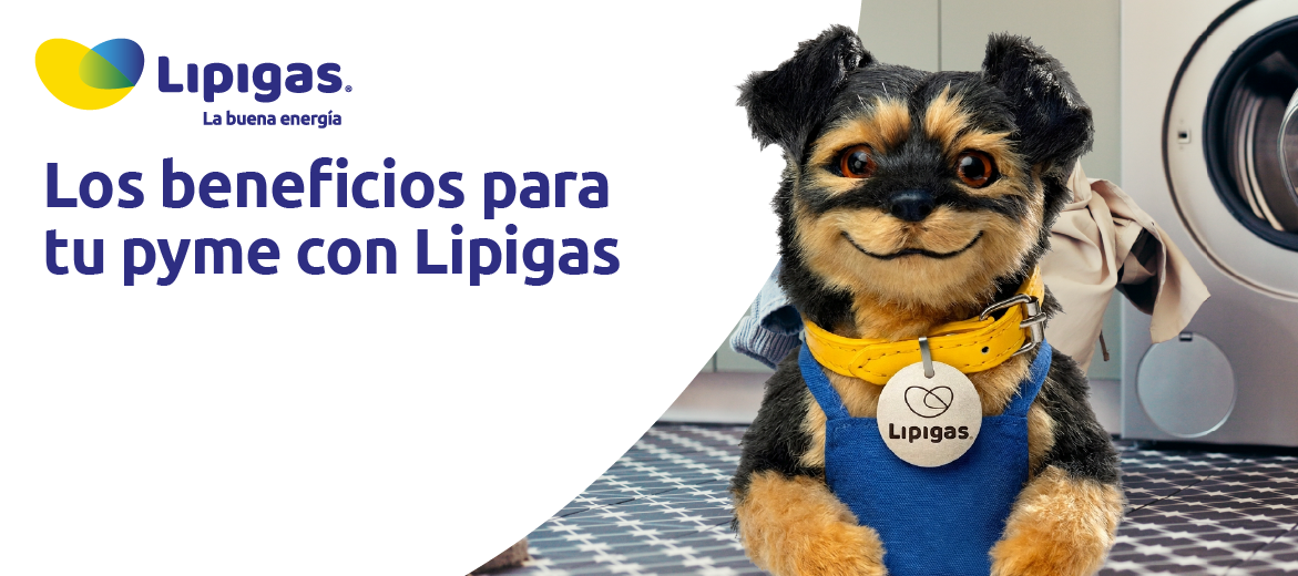 Los beneficios para tu pyme con Lipigas
