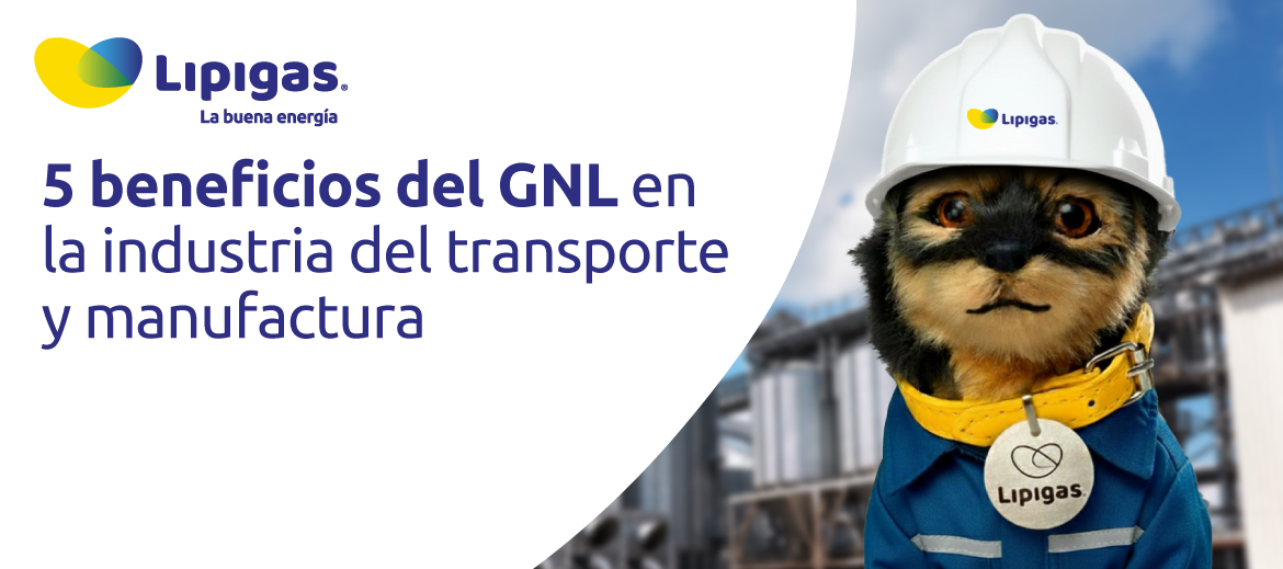 5 beneficios del GNL en la industria del transporte y manufactura en chile