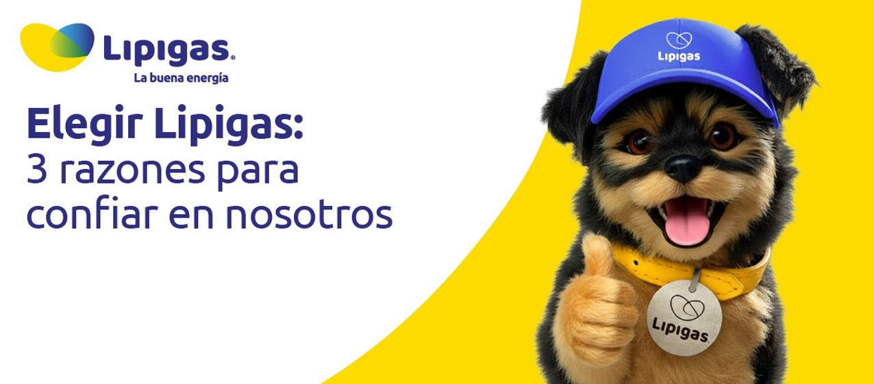 Elegir Lipigas