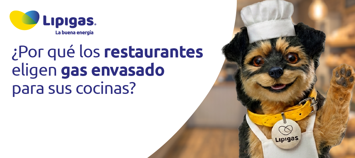 Por qué los restaurantes eligen gas envasado para sus cocinas en chile
