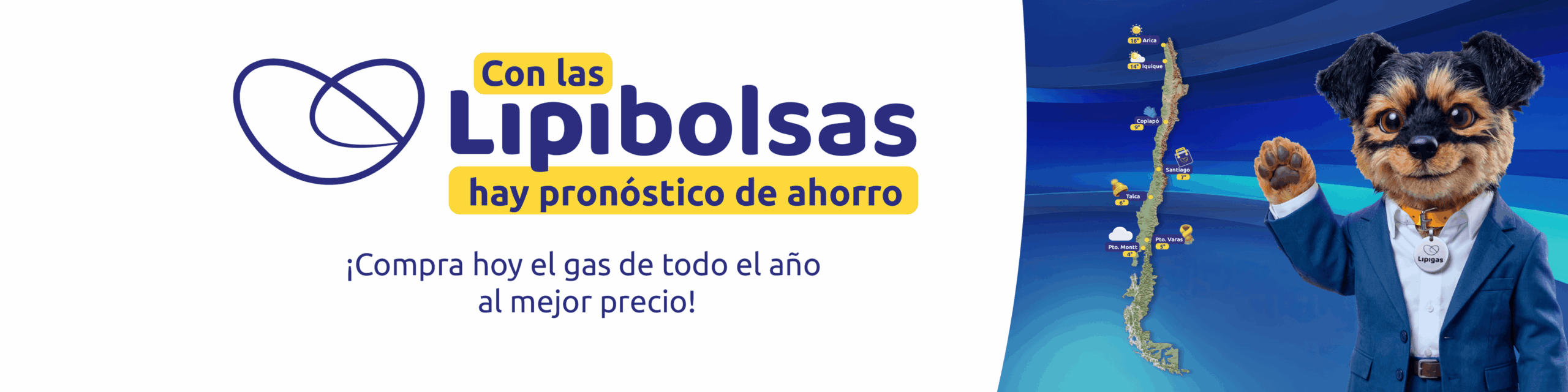 Banner LipiBolsas