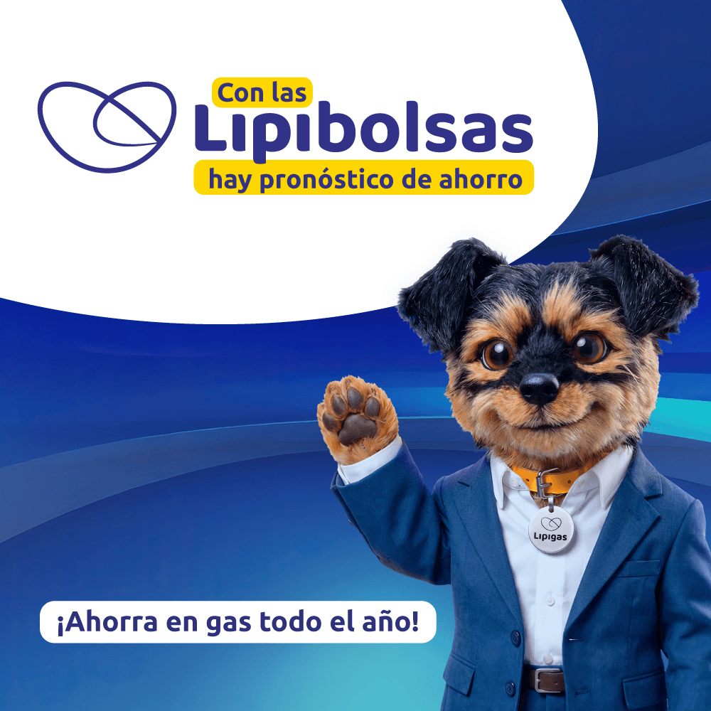Banner LipiBolsas