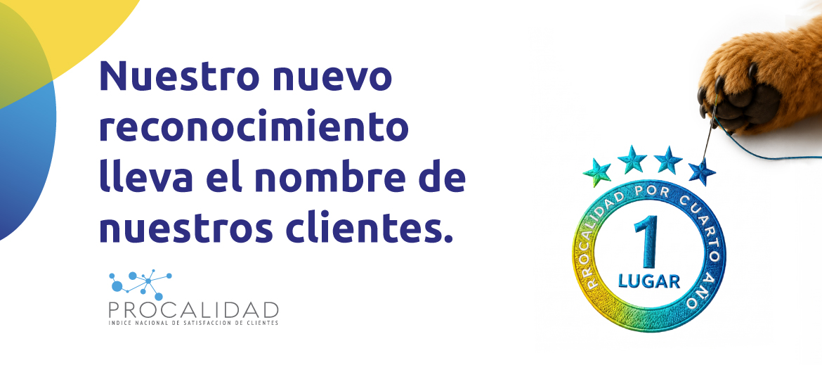 Lipigas mantiene liderazgo de la categoría gas licuado en el premio ProCalidad